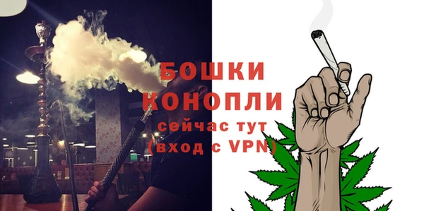кокс Ельня