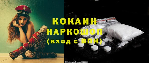 стафф Елизово