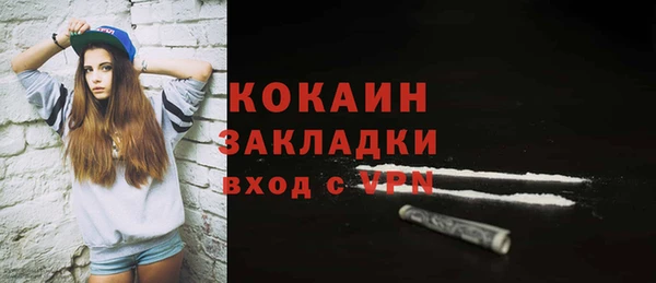 кокс Ельня