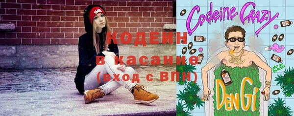 кокс Ельня
