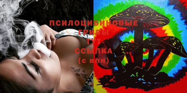 молекула духа Усинск
