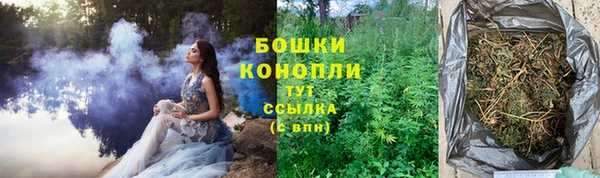 кокс Ельня