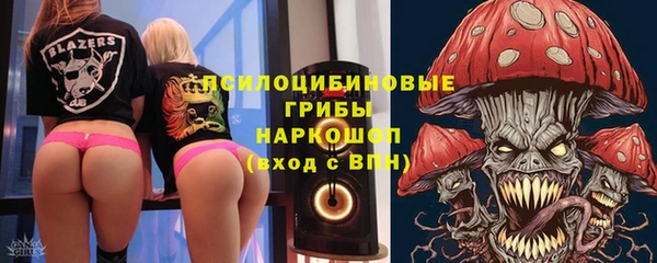 гашик Елабуга