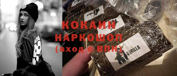 кокс Ельня