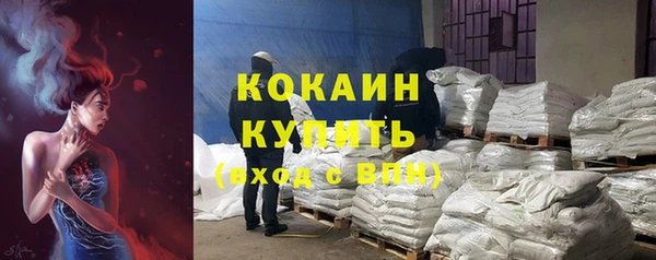 кокс Ельня