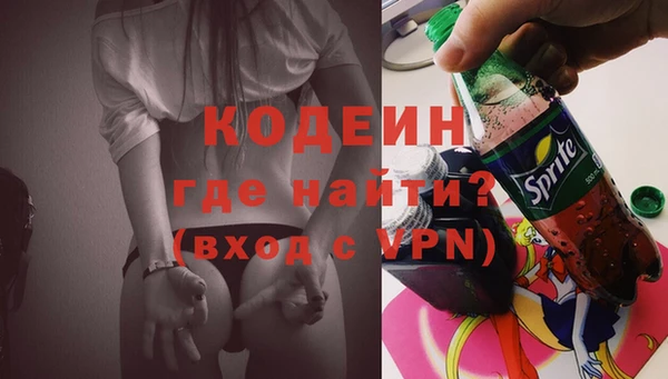 кокс Ельня
