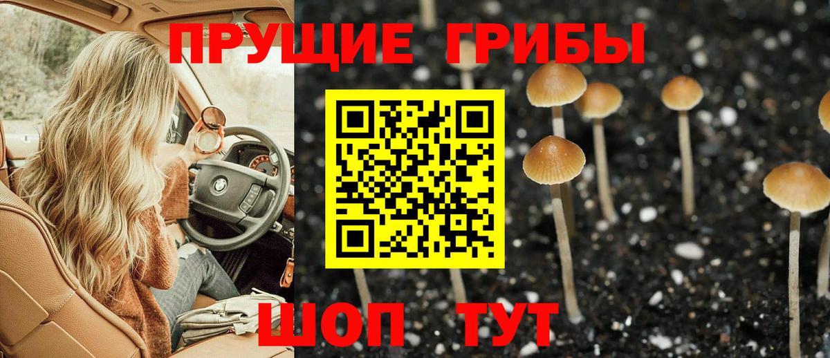 сколько стоит  Псилоцибиновые грибы Psilocybe  Псилоцибиновые грибы Psilocybe  Вход с VPN  Ангарск 